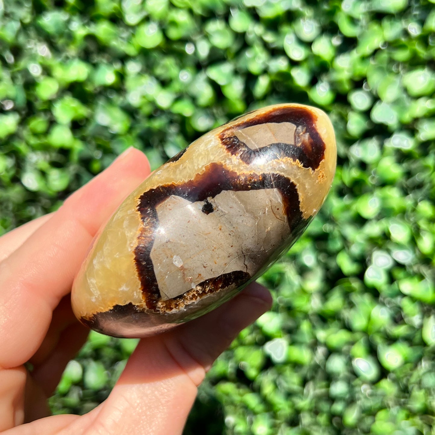 Septarian Yellow Calcite Heart