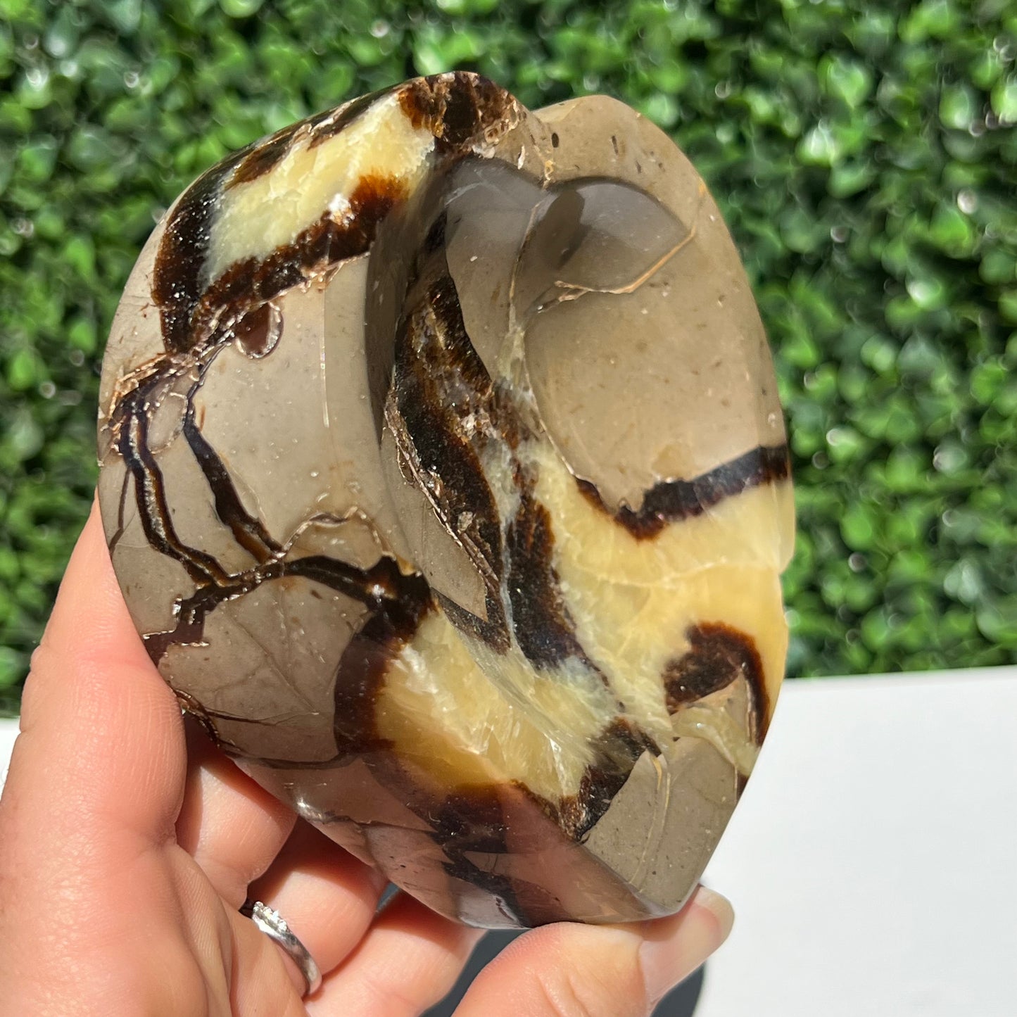 Septarian Yellow Calcite Bowl
