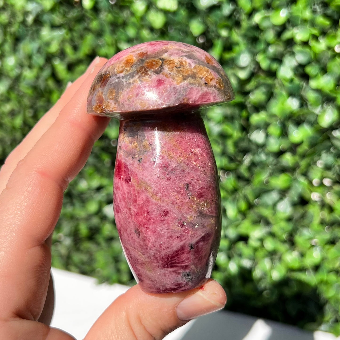 Rhodonite Mushroom