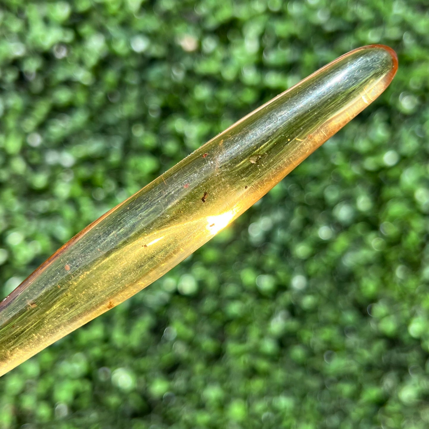 COPAL AMBER RARE SPECIMEN