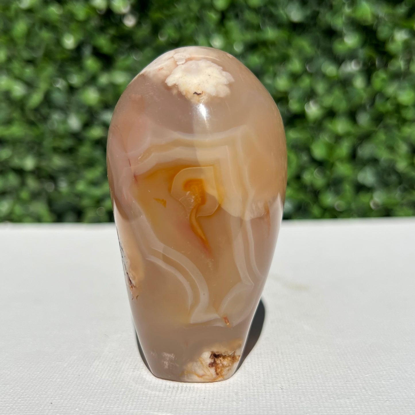 Flower Agate Free Form