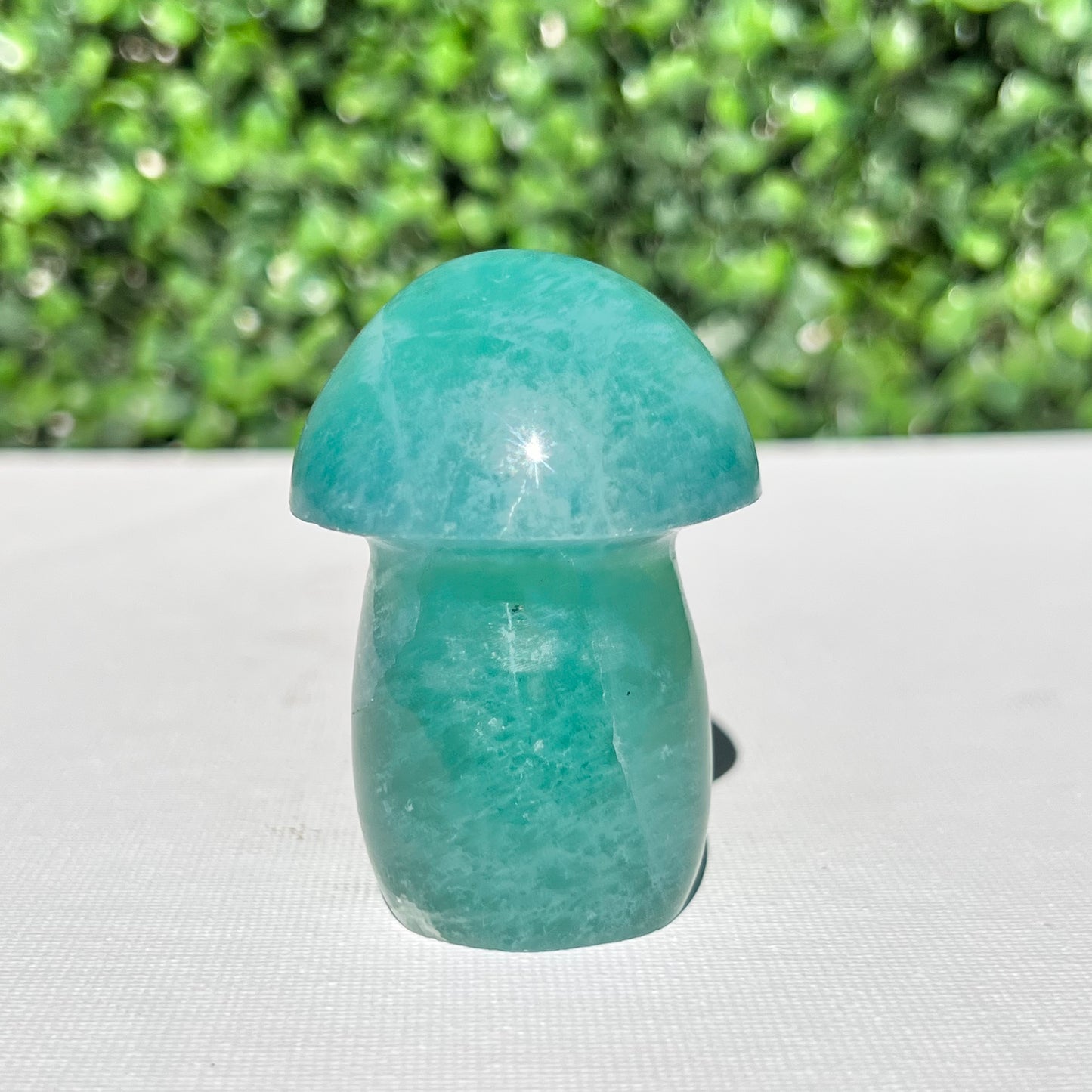Fluorite Mushroom