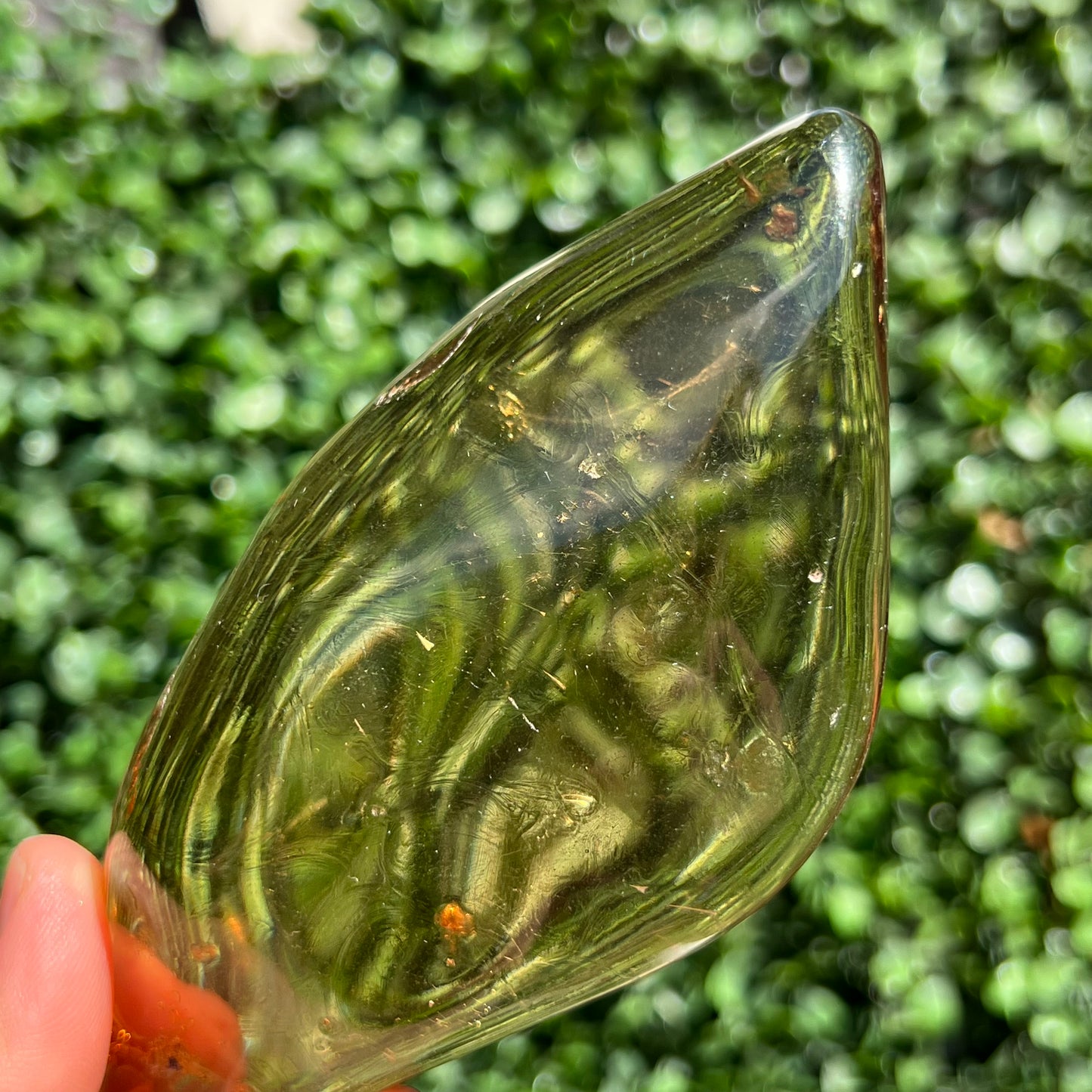 COPAL AMBER RARE SPECIMEN