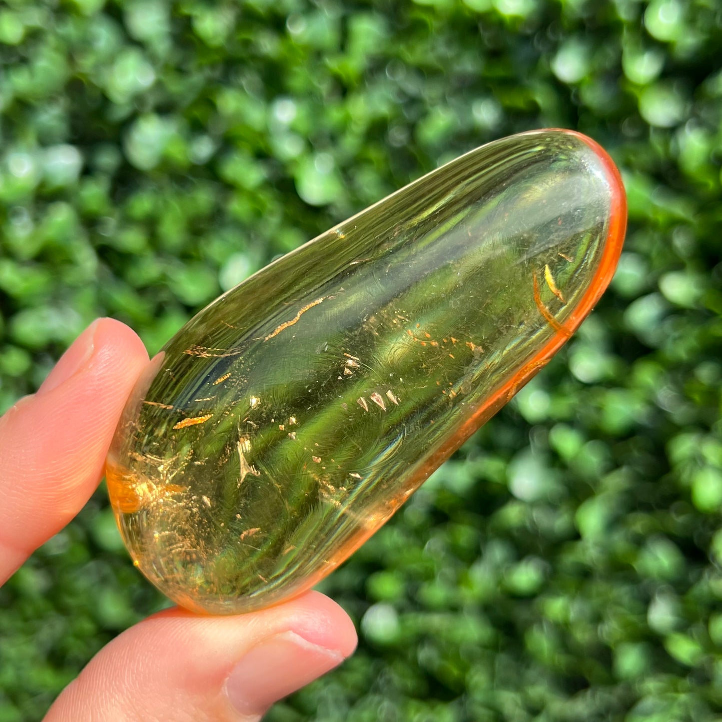COPAL AMBER RARE SPECIMEN