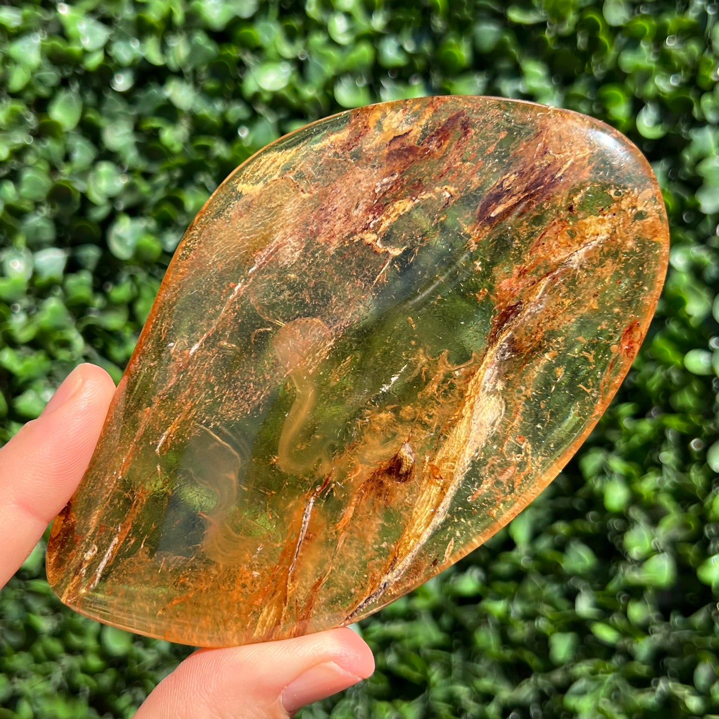 COPAL AMBER RARE SPECIMEN