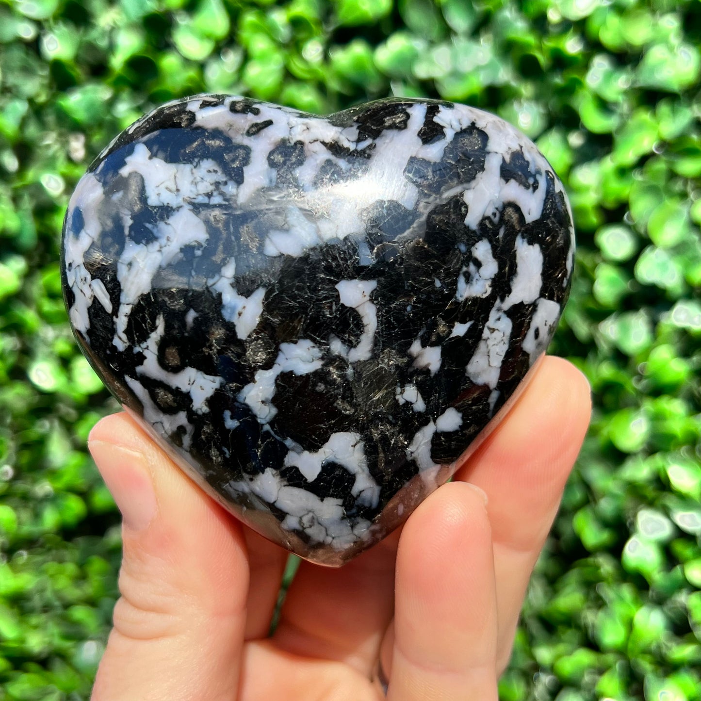 Mystic Merlinite Gabbro Heart