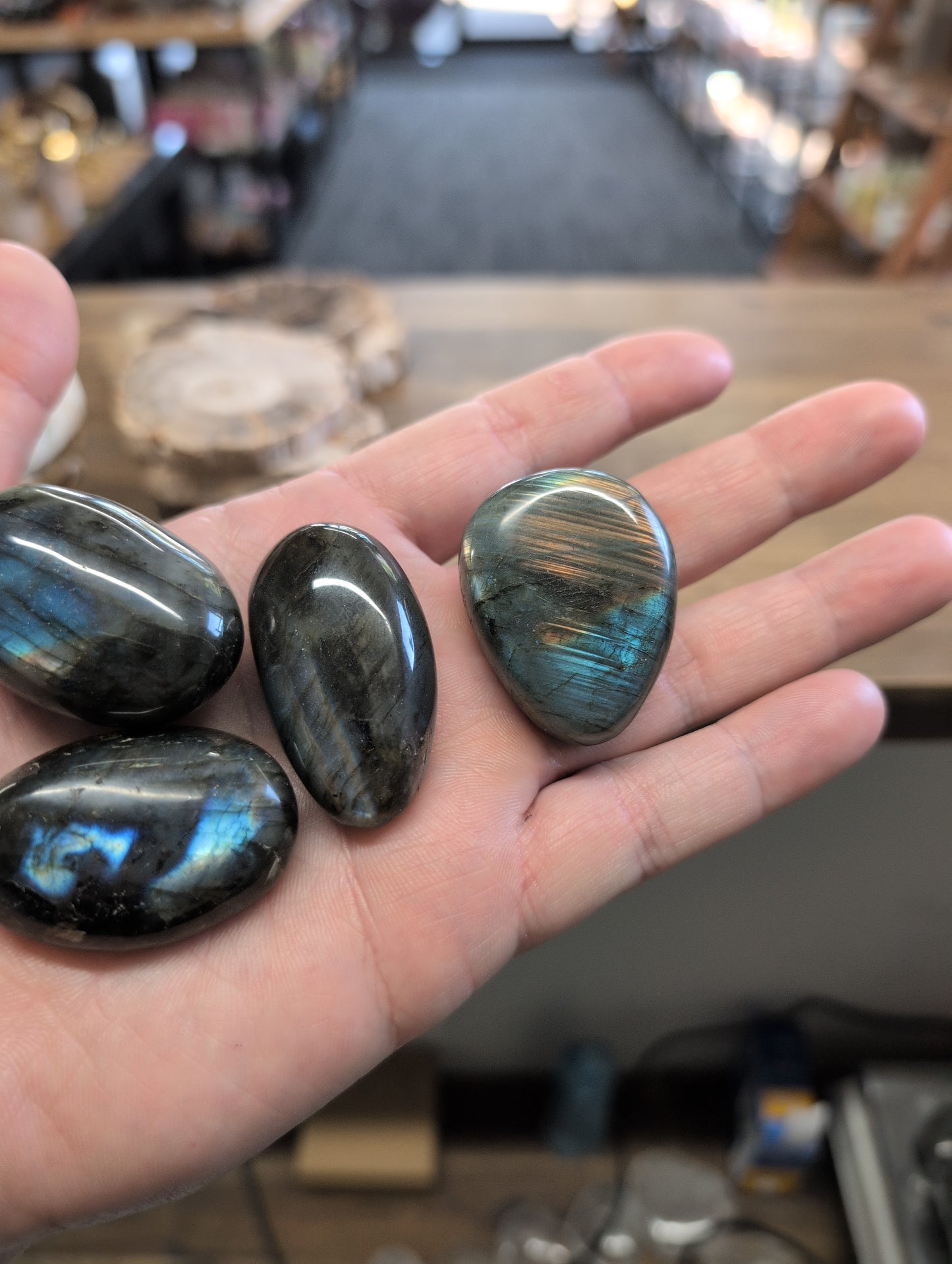 Lucy B