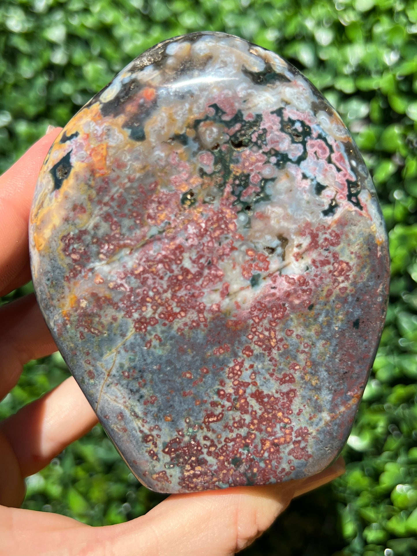 Ocean Jasper Free Form