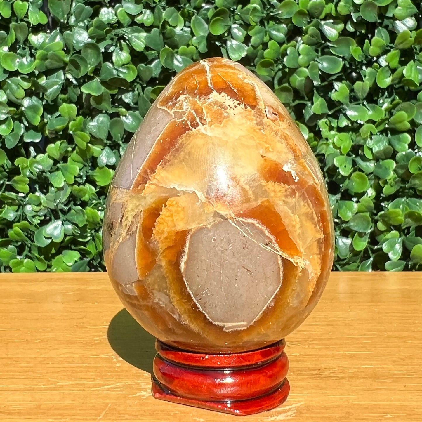 Septarian Yellow Calcite Egg