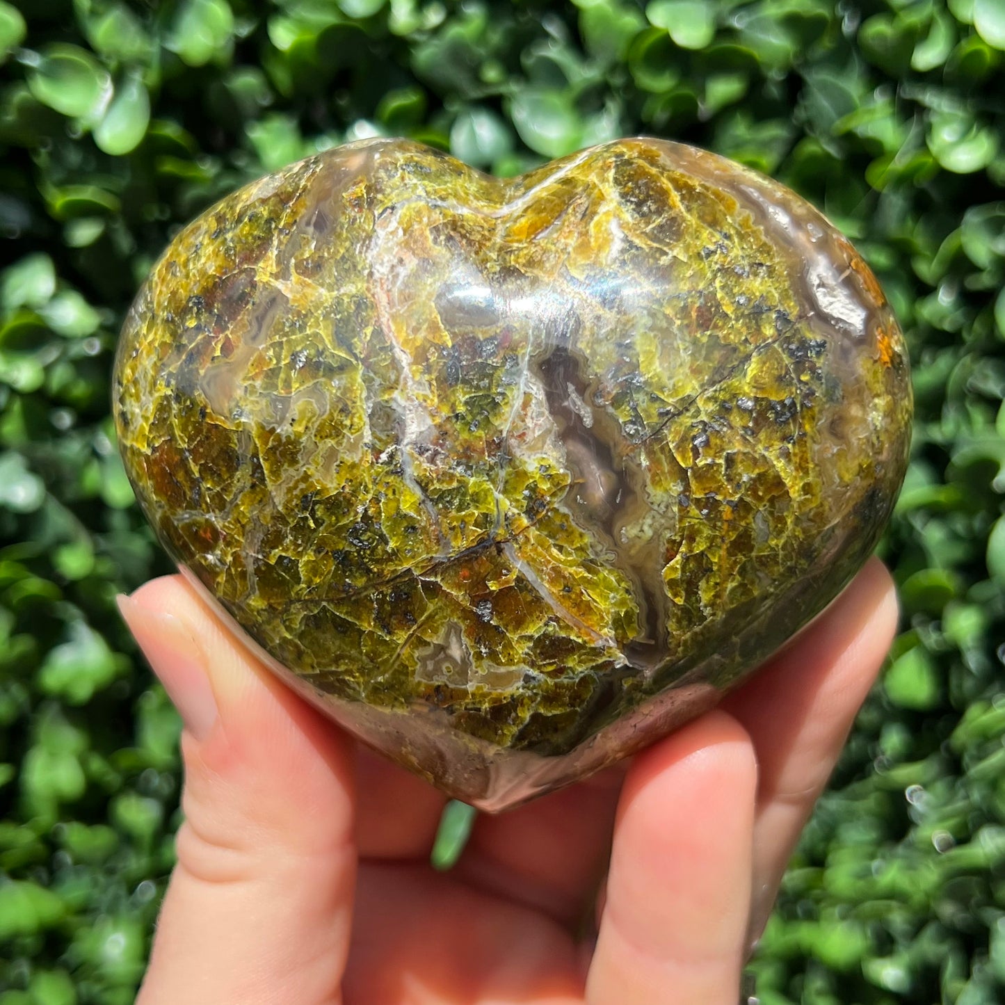 Kiwi Opal Heart