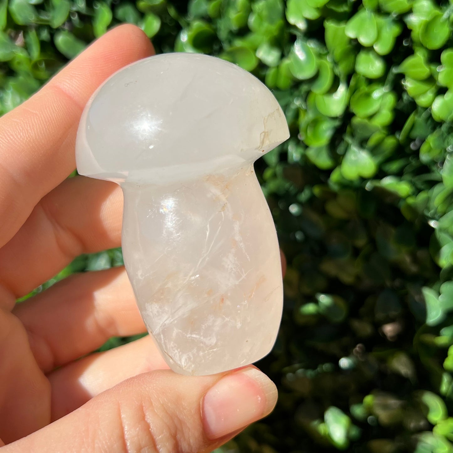 Snow Quartz Mushroom