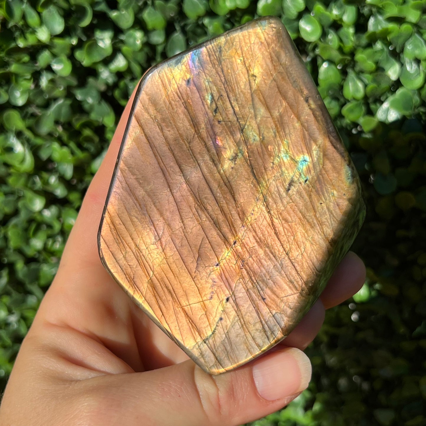 Labradorite Free Form