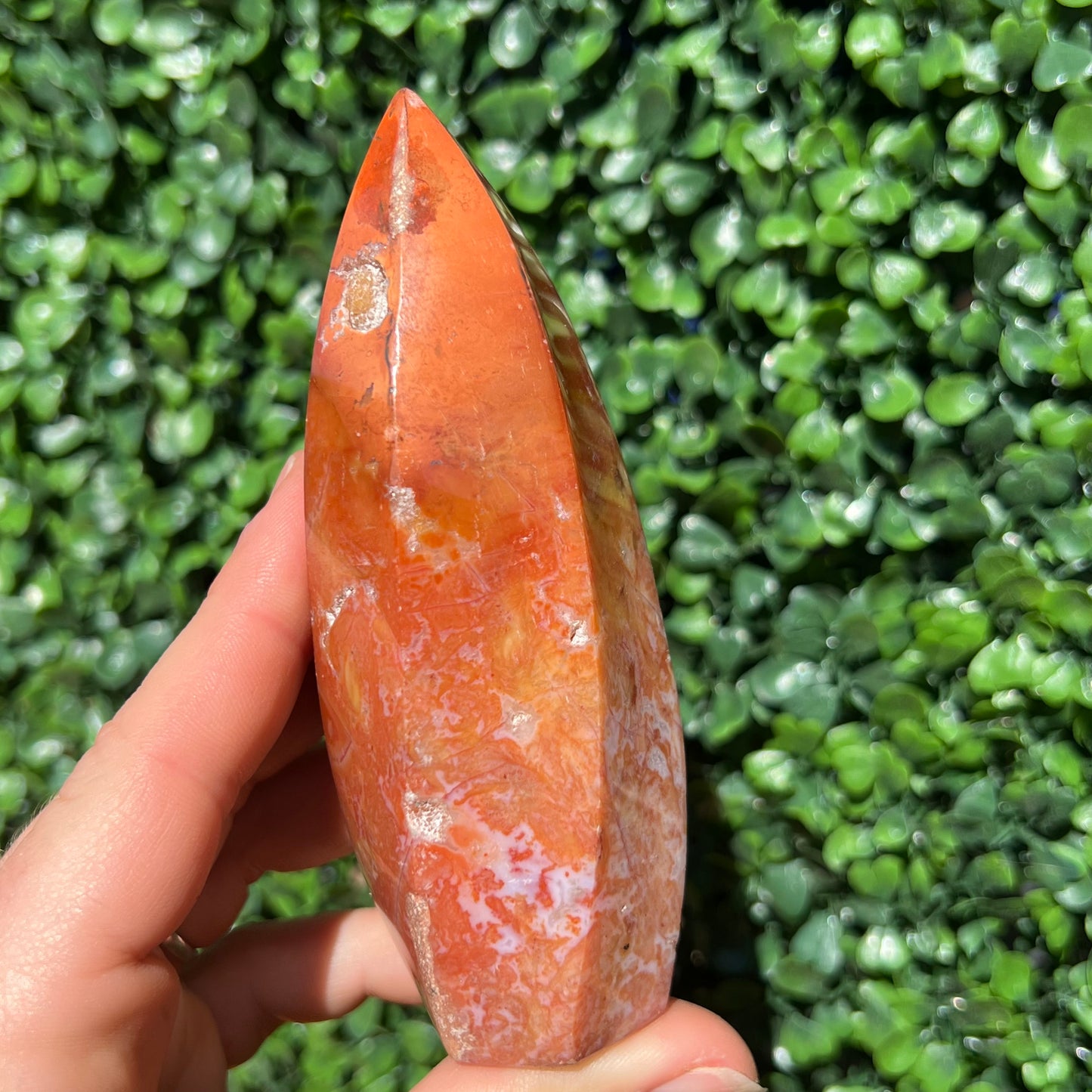 Carnelian Flame