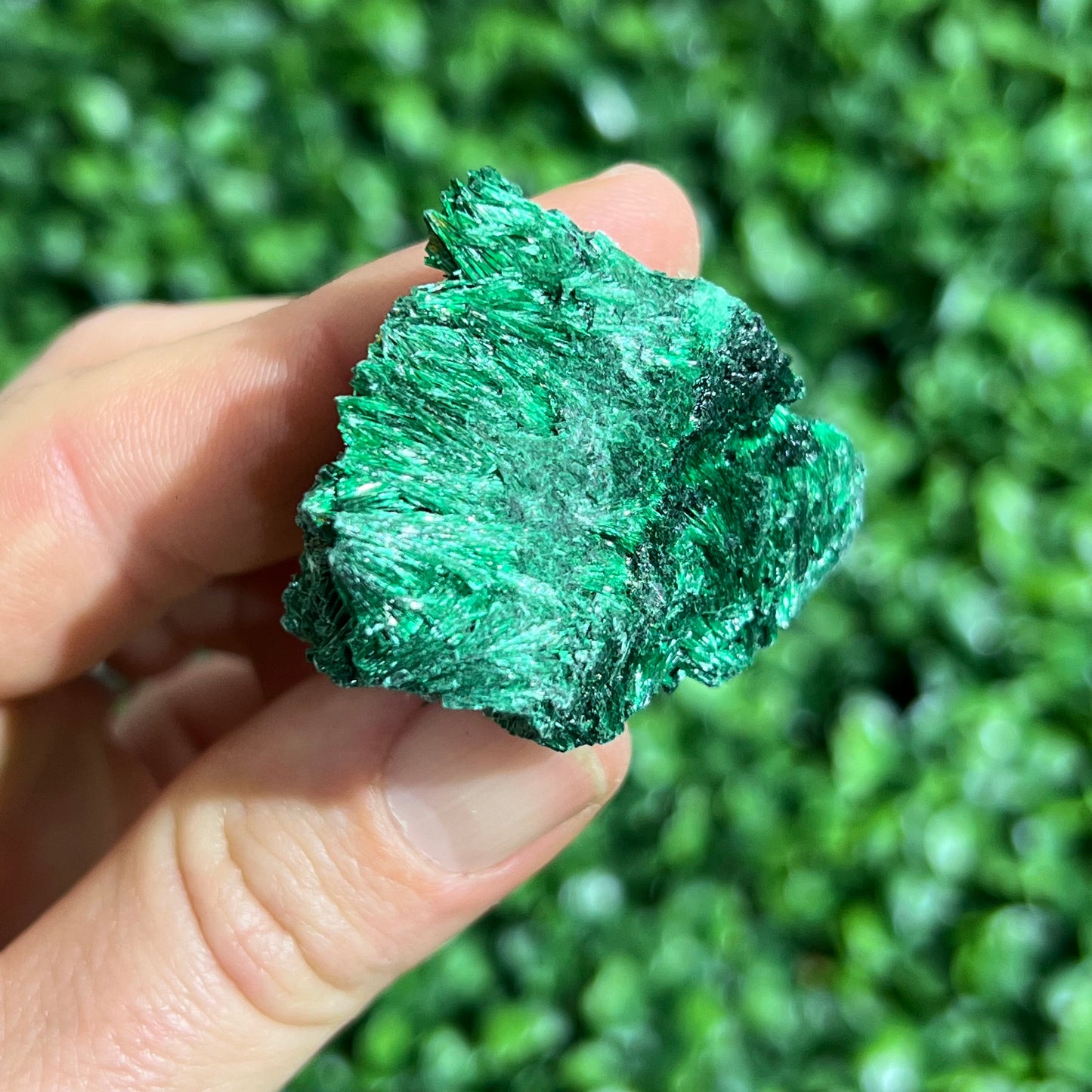 Fibrous Malachite Specimen