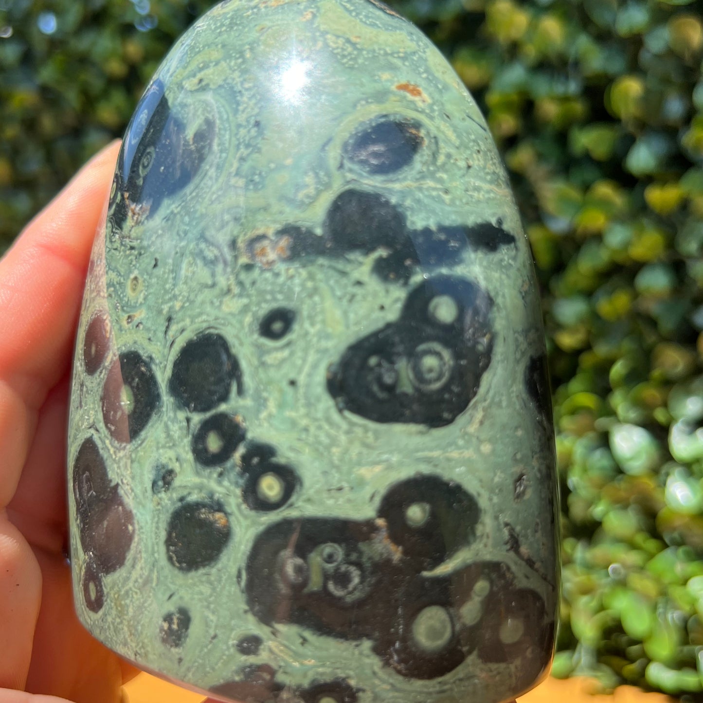 Kambaba Jasper Free Form
