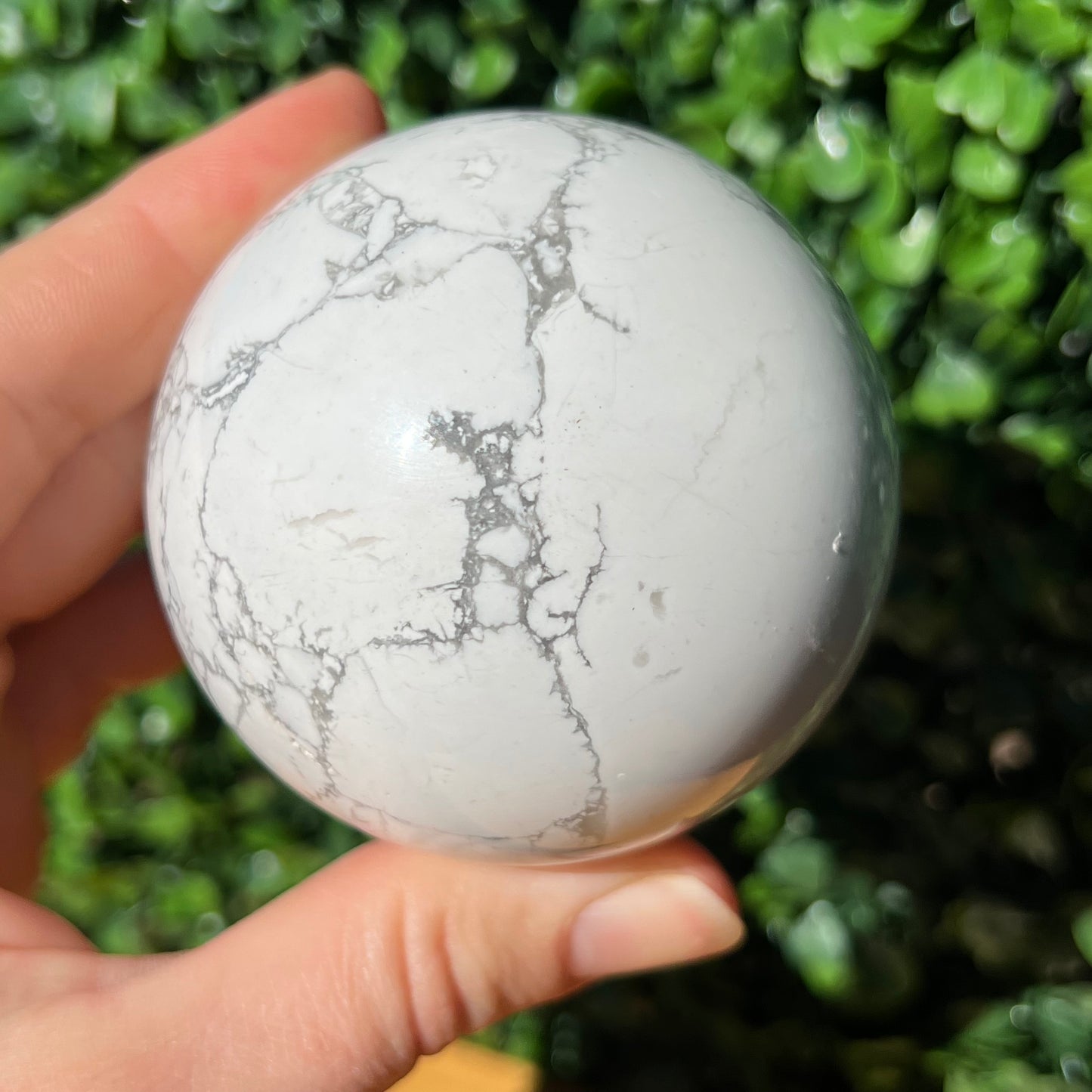 Howlite Sphere