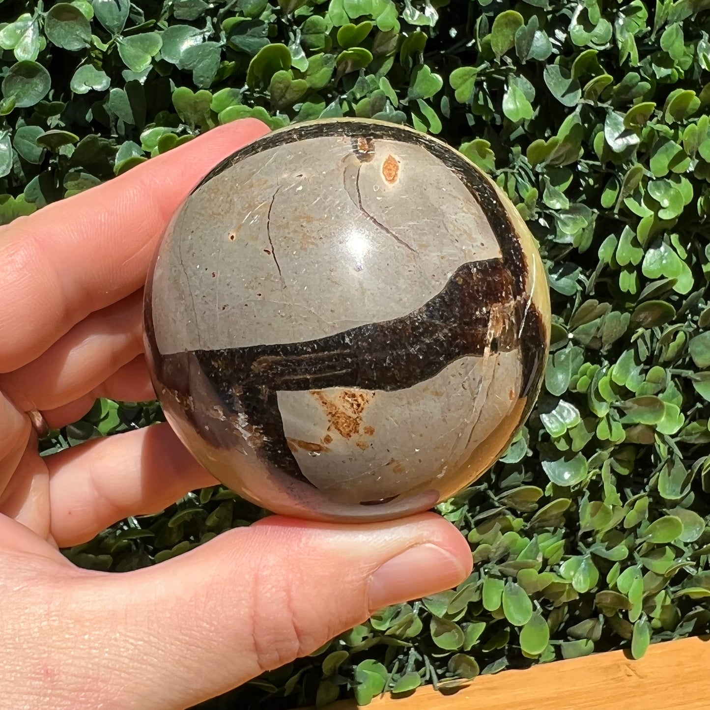 Septarian Yellow Calcite Sphere