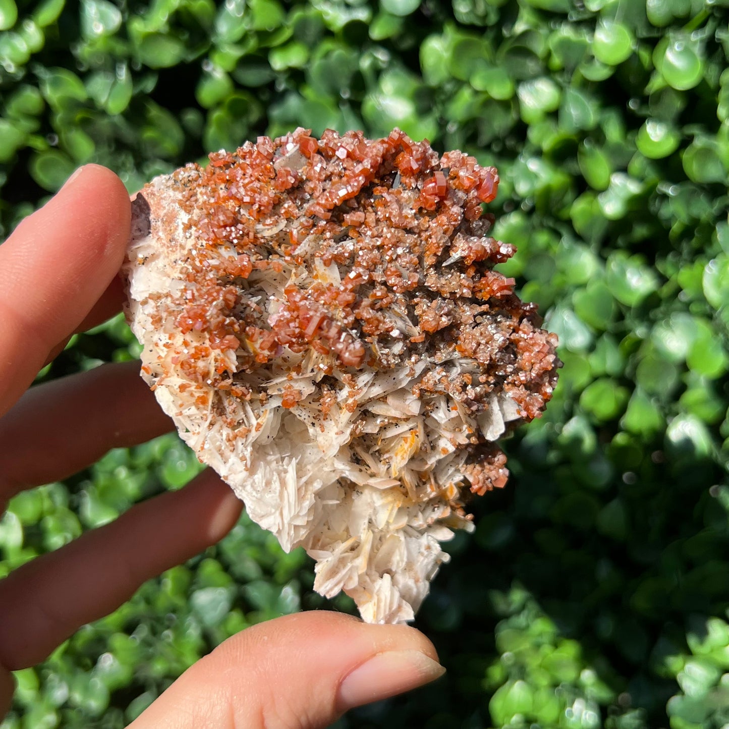 Vanadinite Specimen