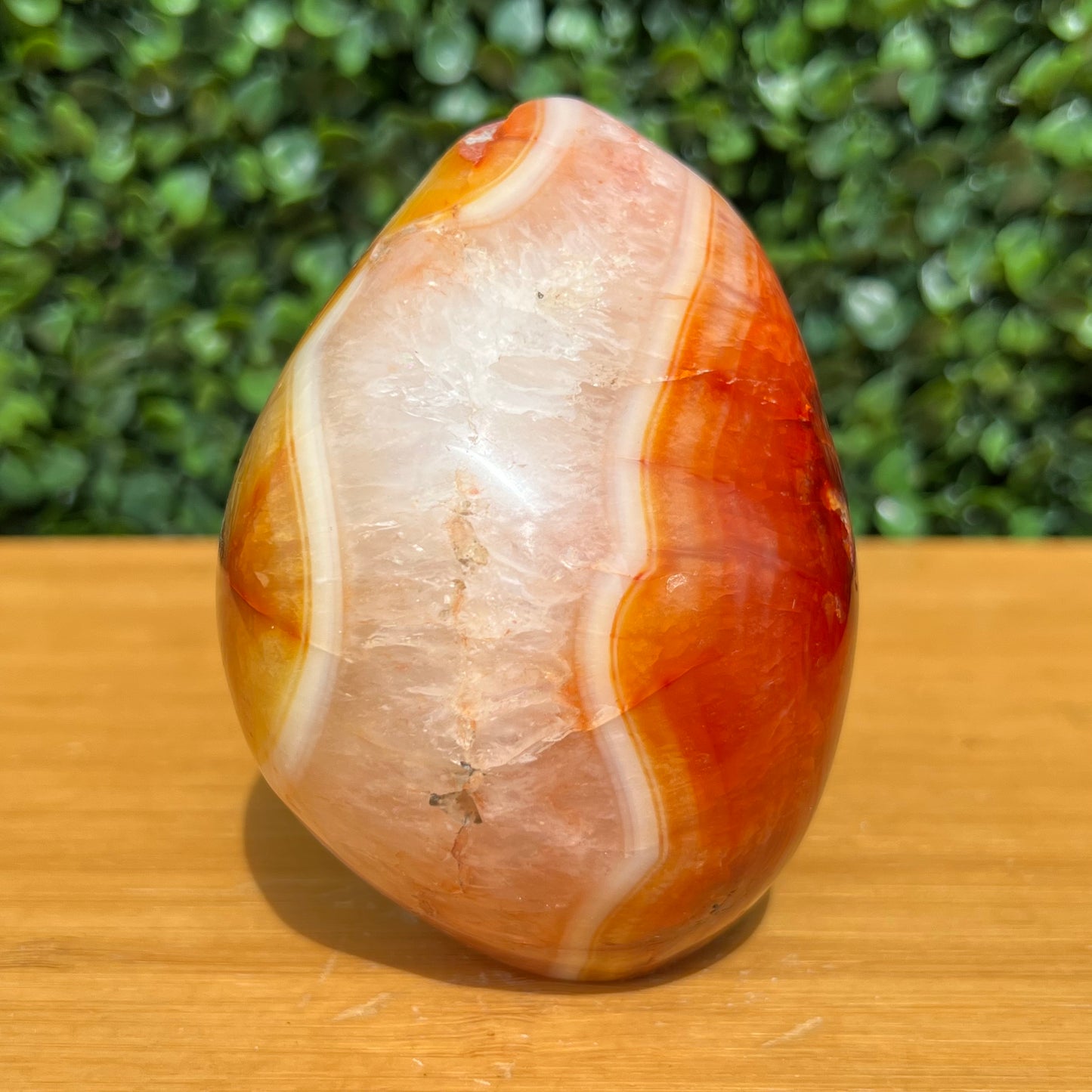 Carnelian Free Form