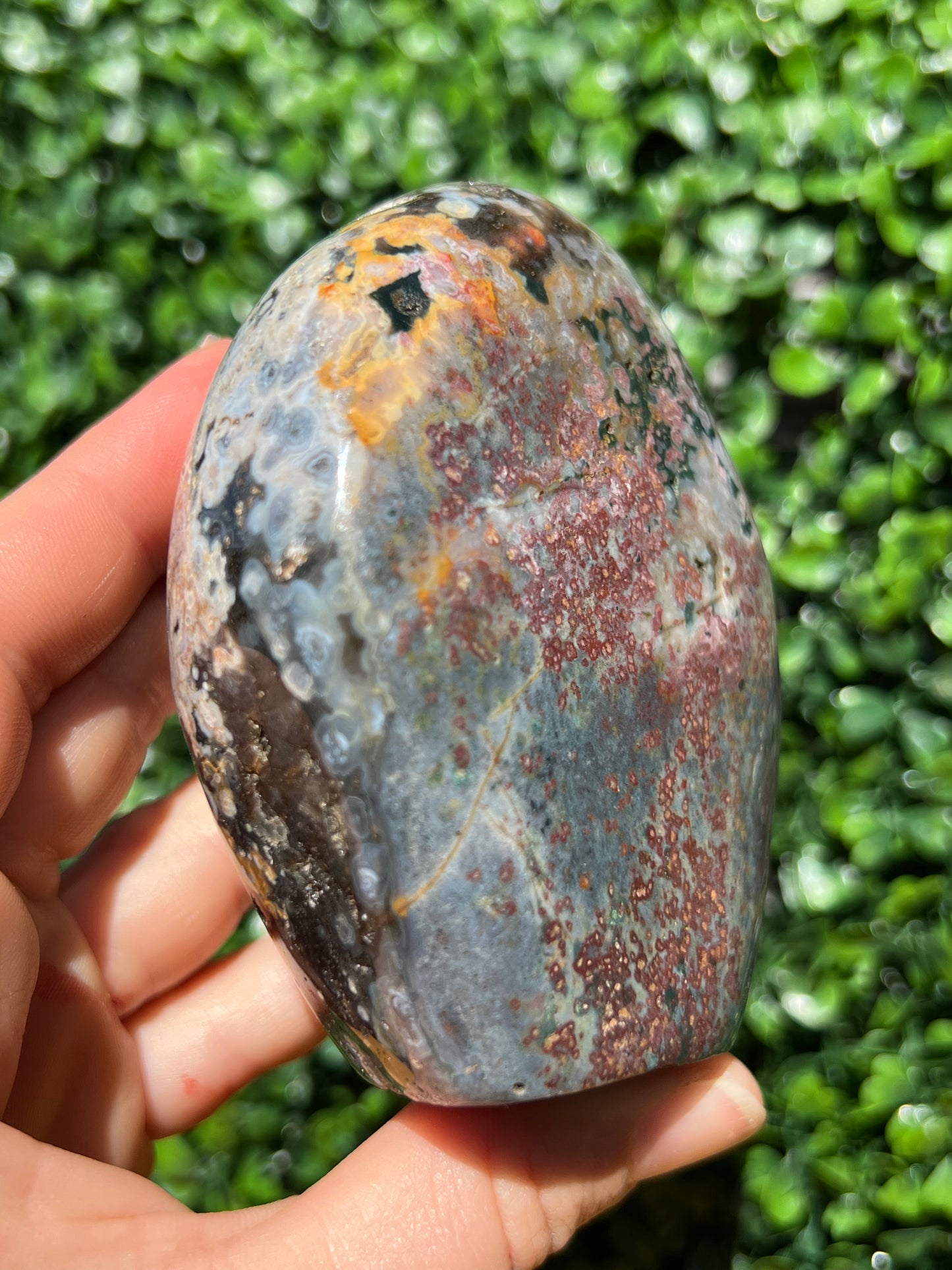 Ocean Jasper Free Form