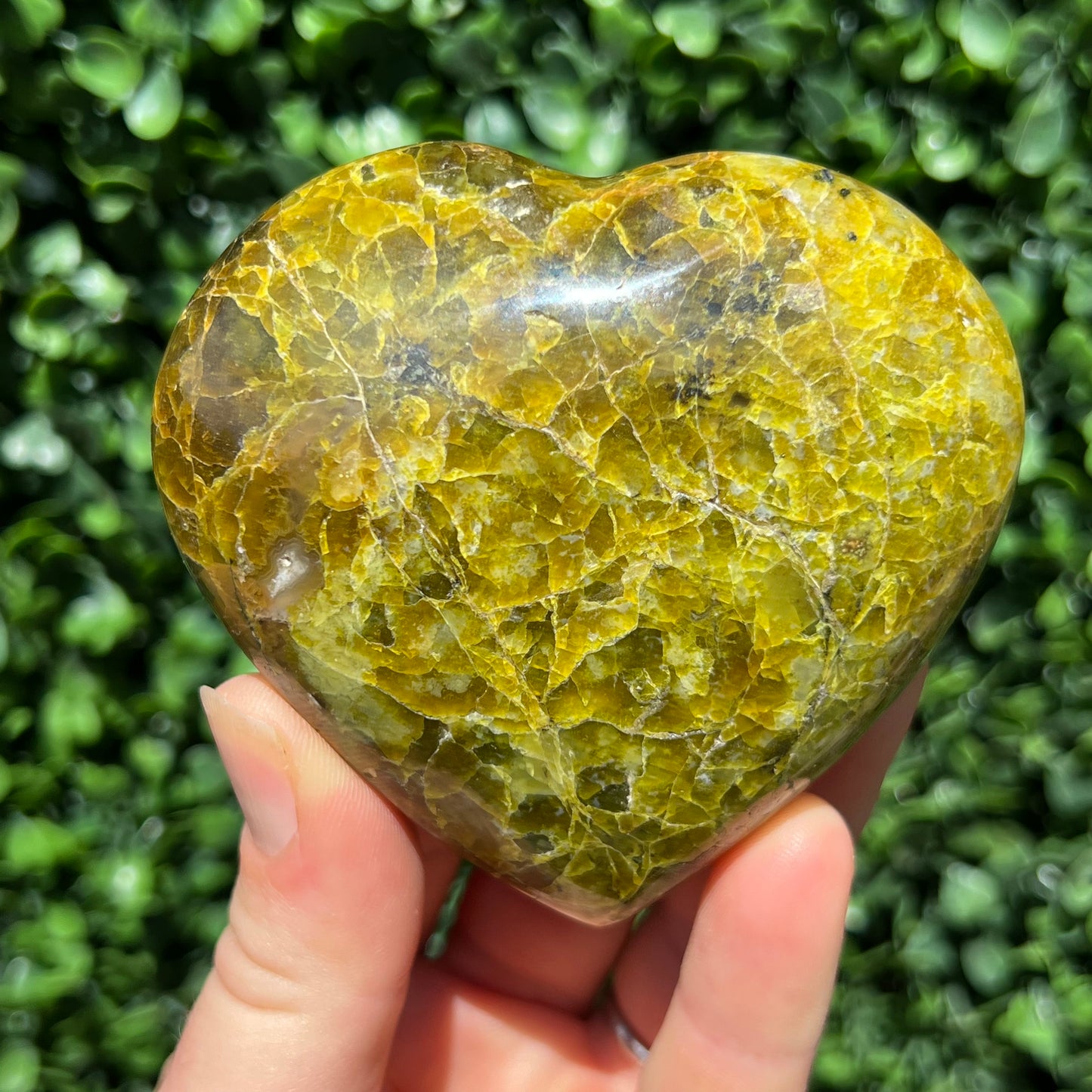 Kiwi Opal Heart