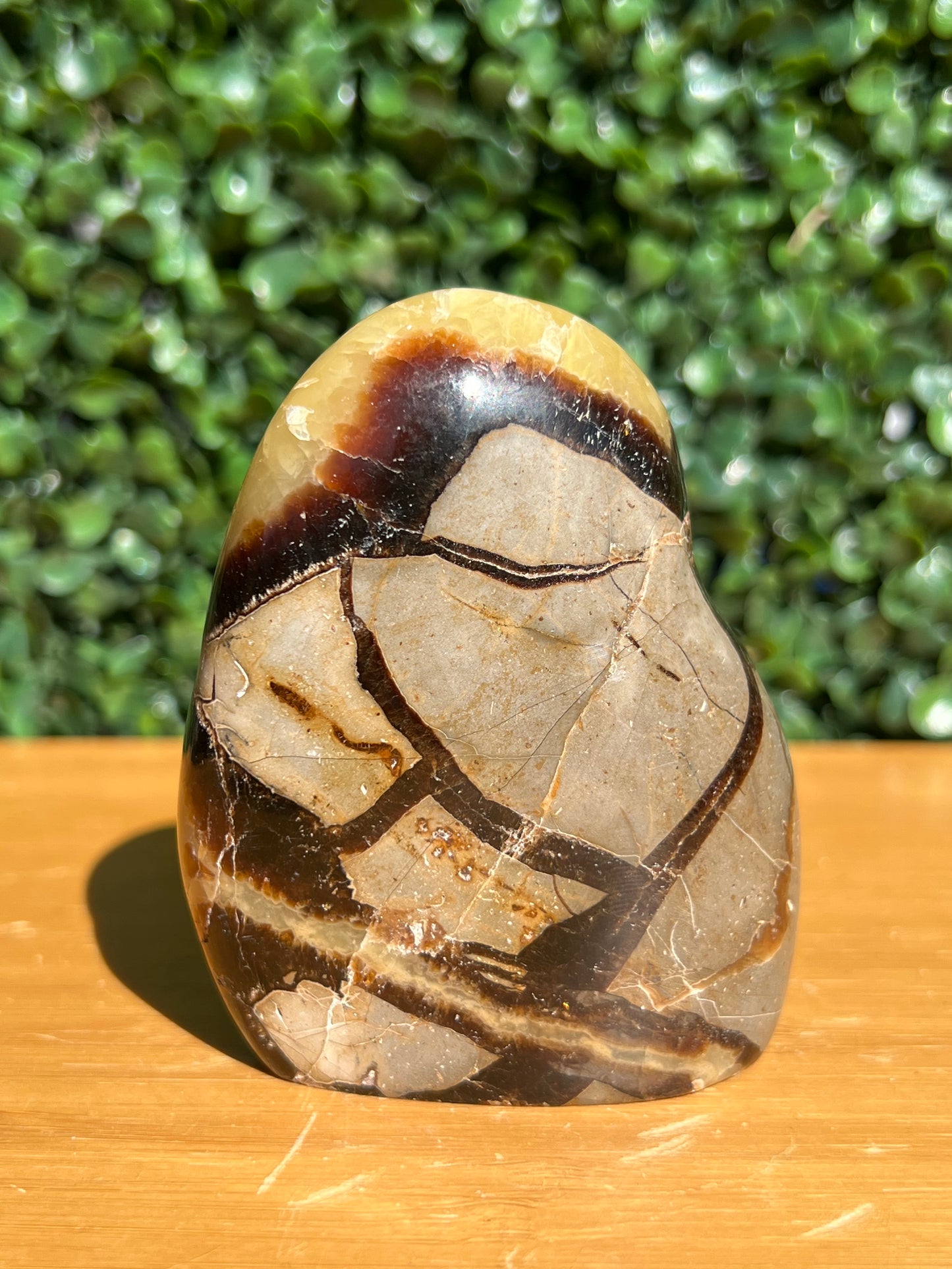 Septarian Yellow Calcite Free Form