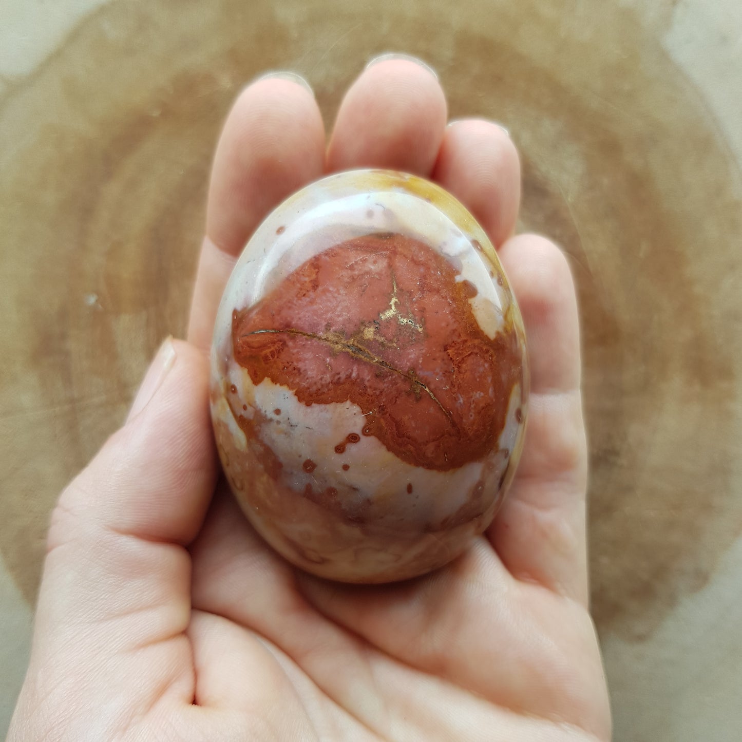 Polychrome Jasper Palm Stone's