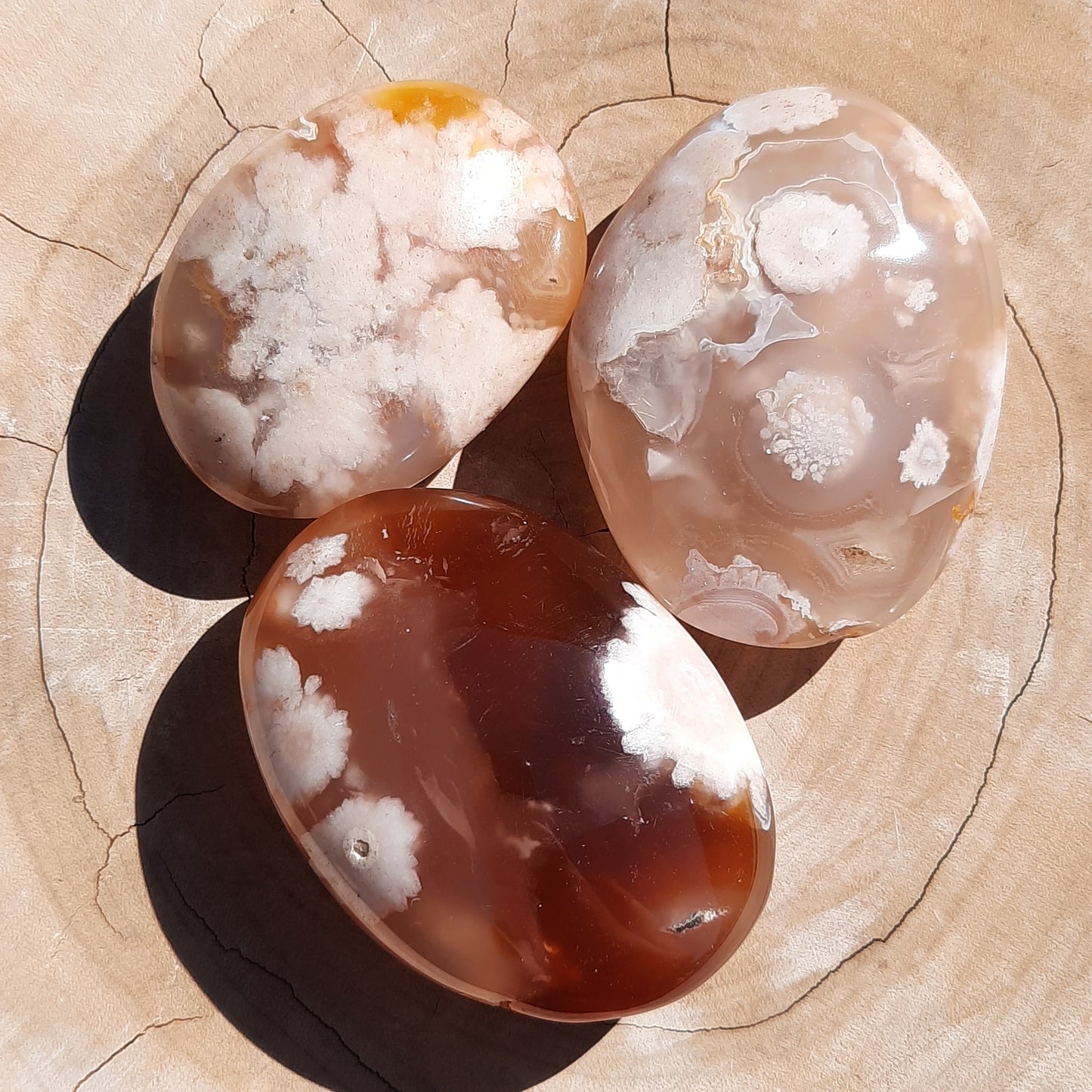 Flower Agate Gemstone Palm Stone’s