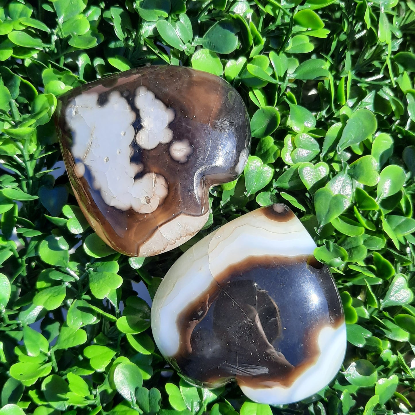 Solomon Agate Gemstone Hearts