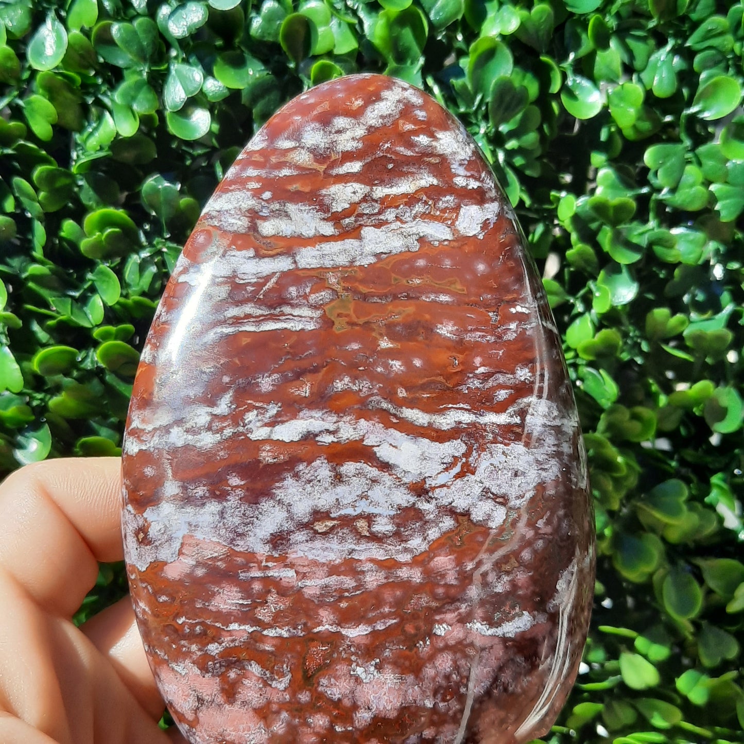 Ocean Jasper Free Form