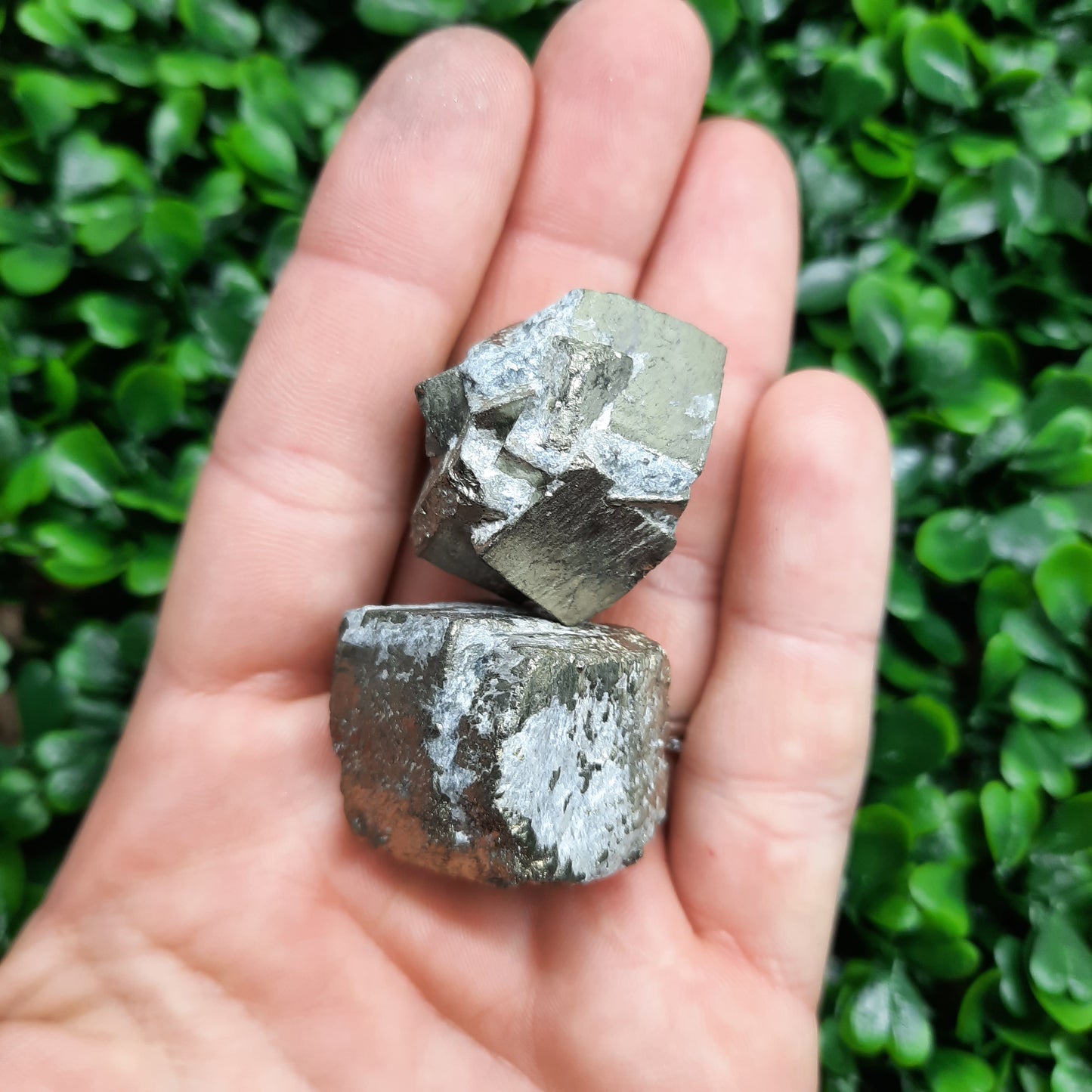 Pyrite Tumbles ~ Large