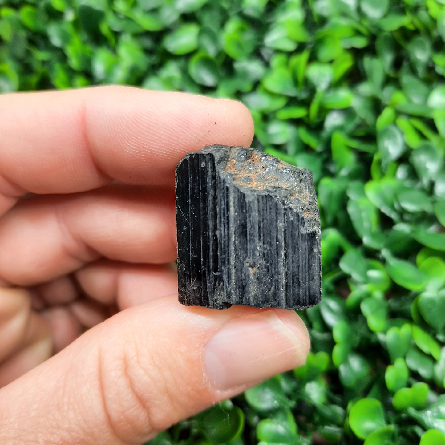 Tourmaline Tumbles