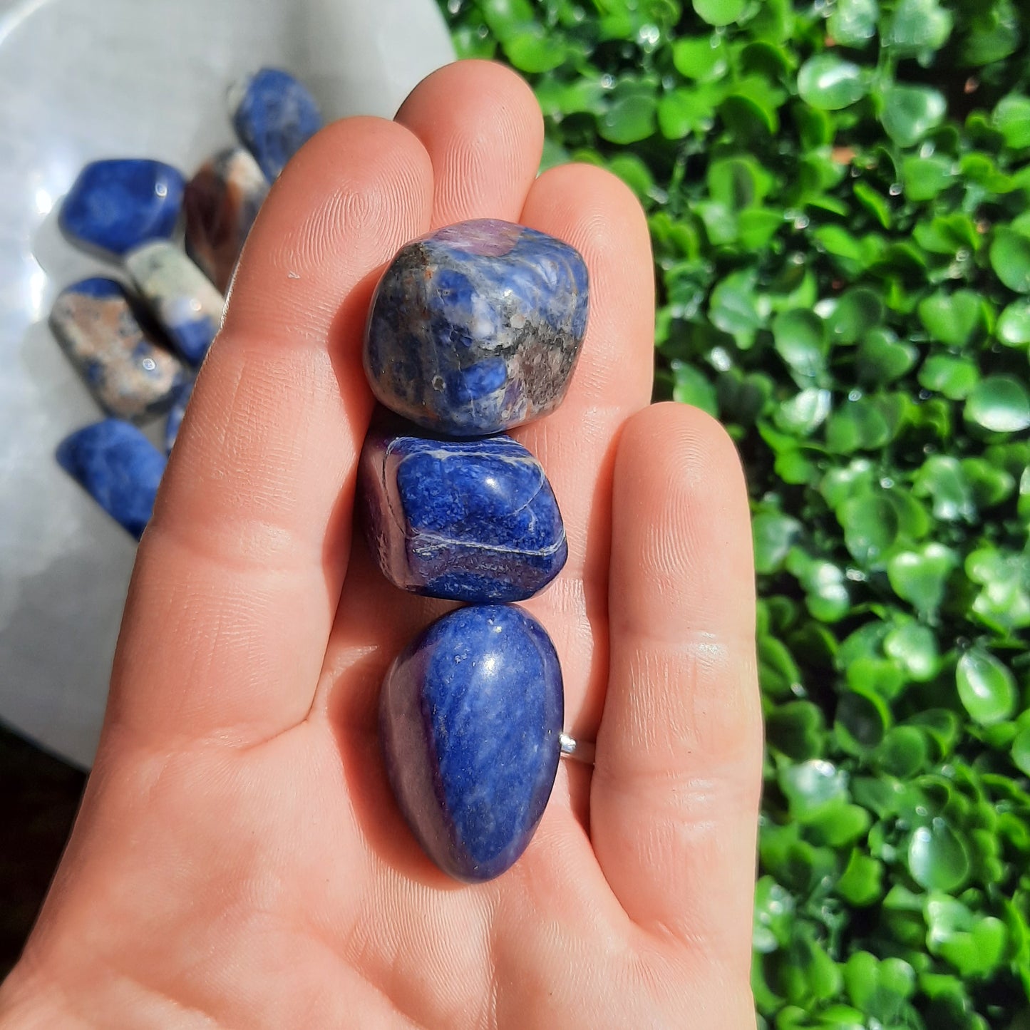 Sodalite Tumble’s