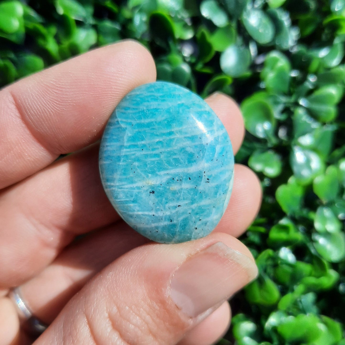 Amazonite Tumbles - The Crystal Society Pty Ltd