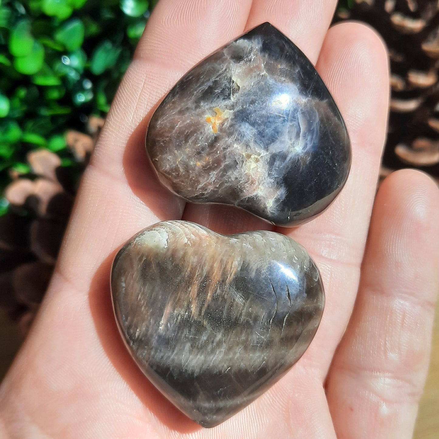 Black Moonstone Hearts ~ Small - The Crystal Society Pty Ltd