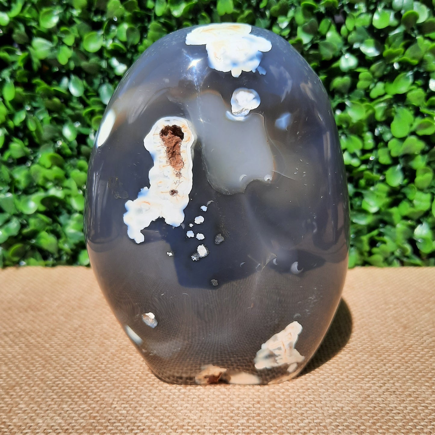 Orca Agate Gemstone Free Form