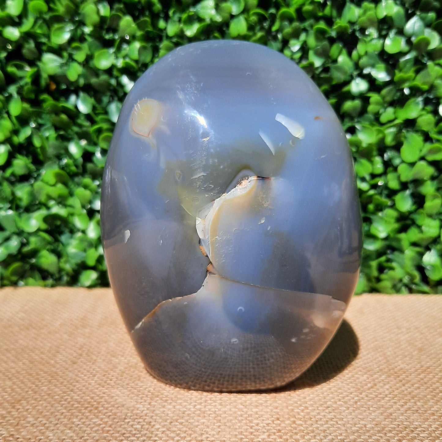 Orca Agate Gemstone Free Form