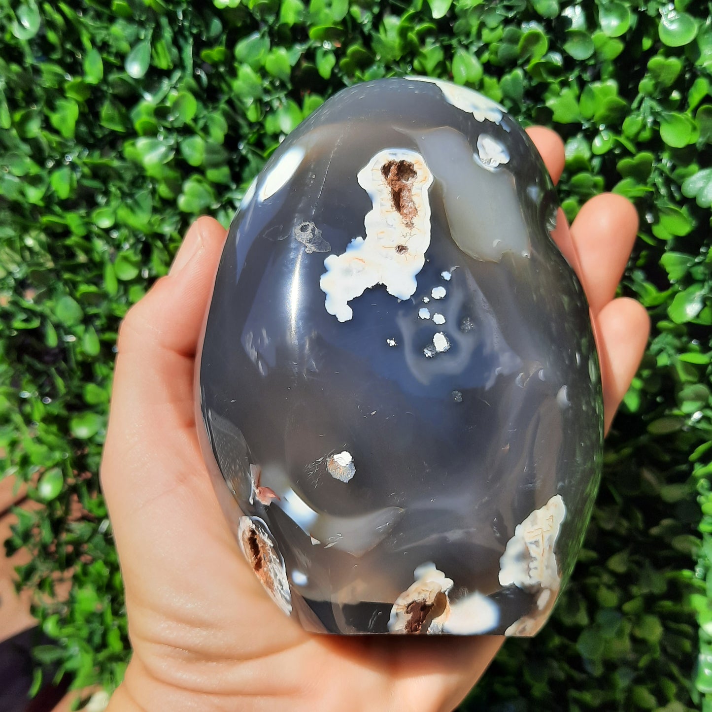 Orca Agate Gemstone Free Form