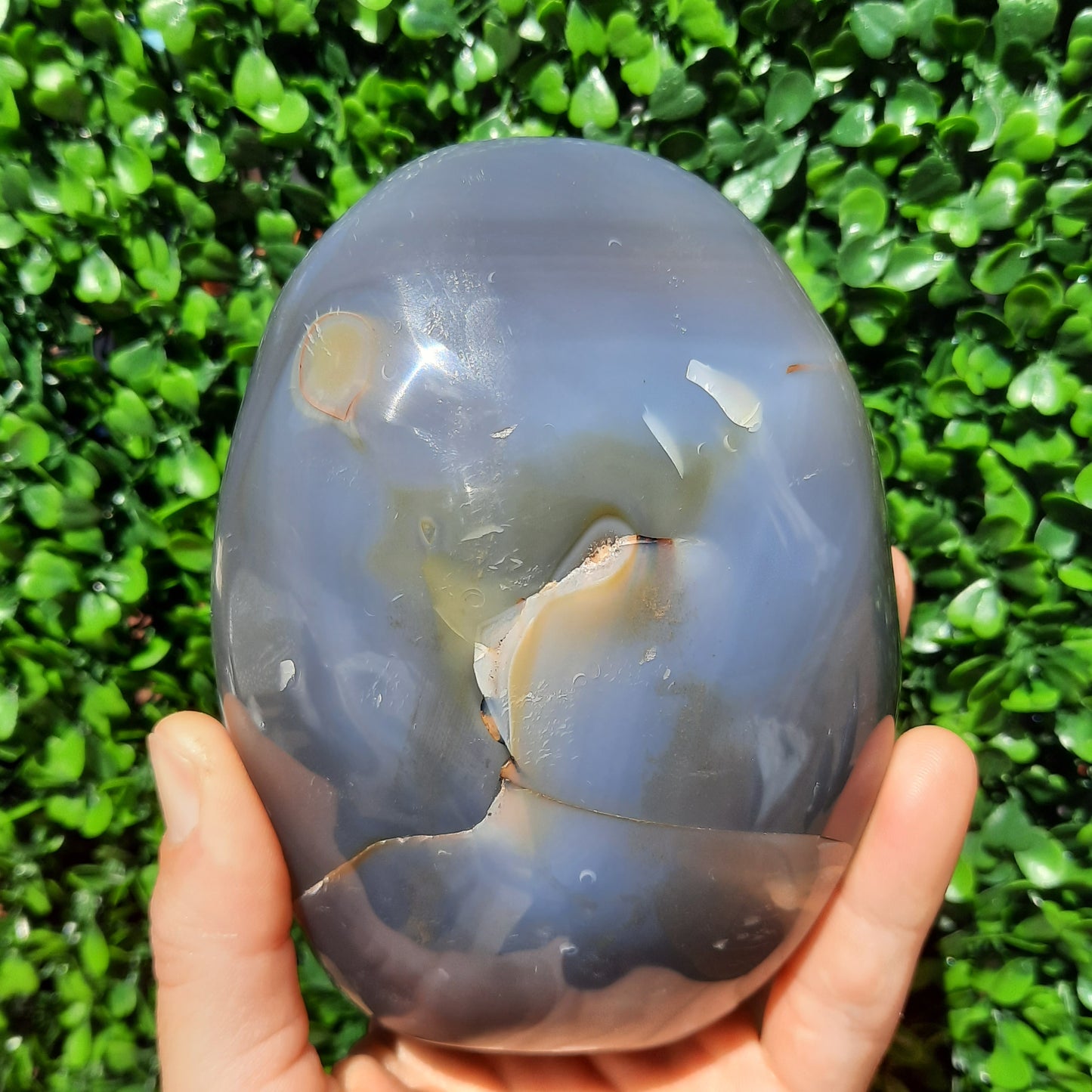 Orca Agate Gemstone Free Form