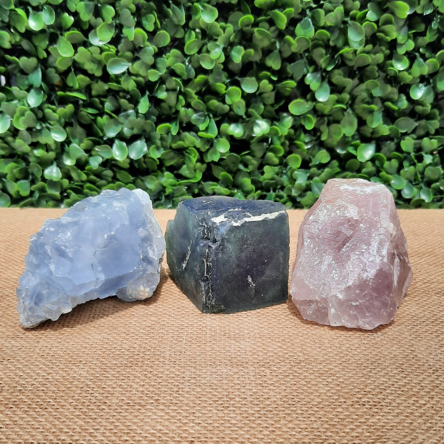 Natural Trio ~ 2