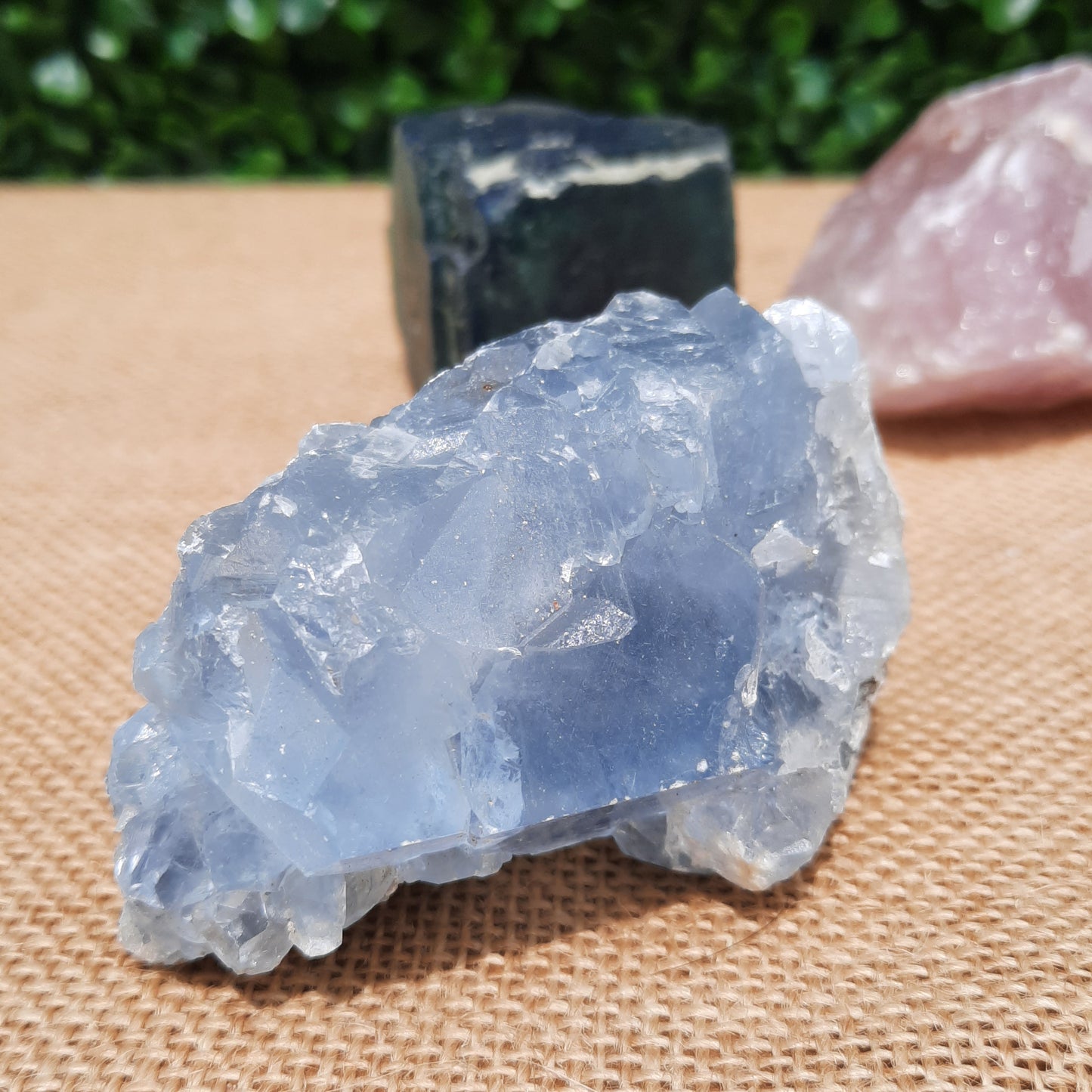 Natural Trio ~ 2