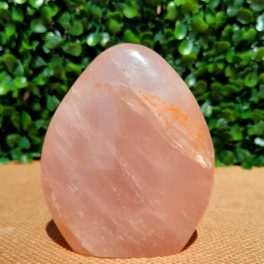 Rose Quartz Free Form