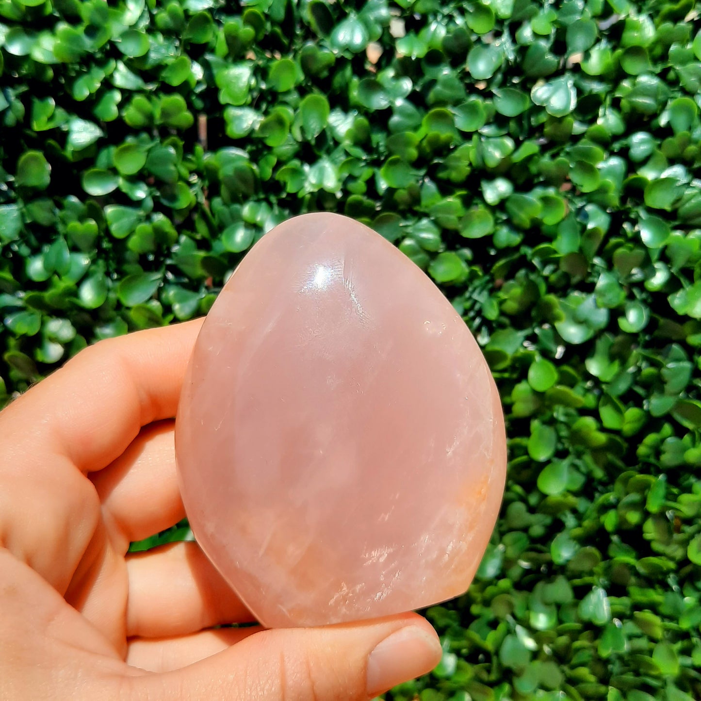 Rose Quartz Free Form