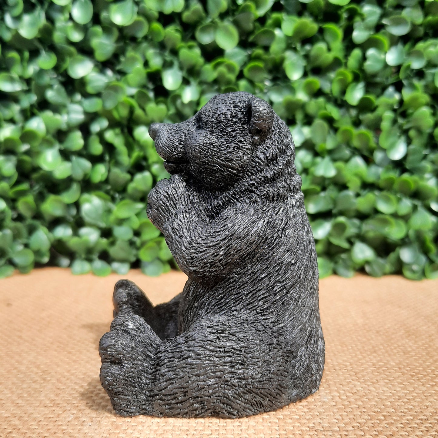 Shungite Bear