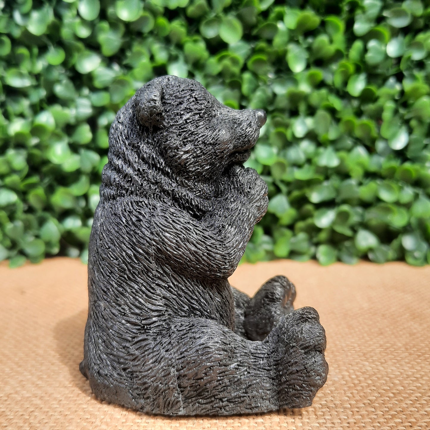 Shungite Bear
