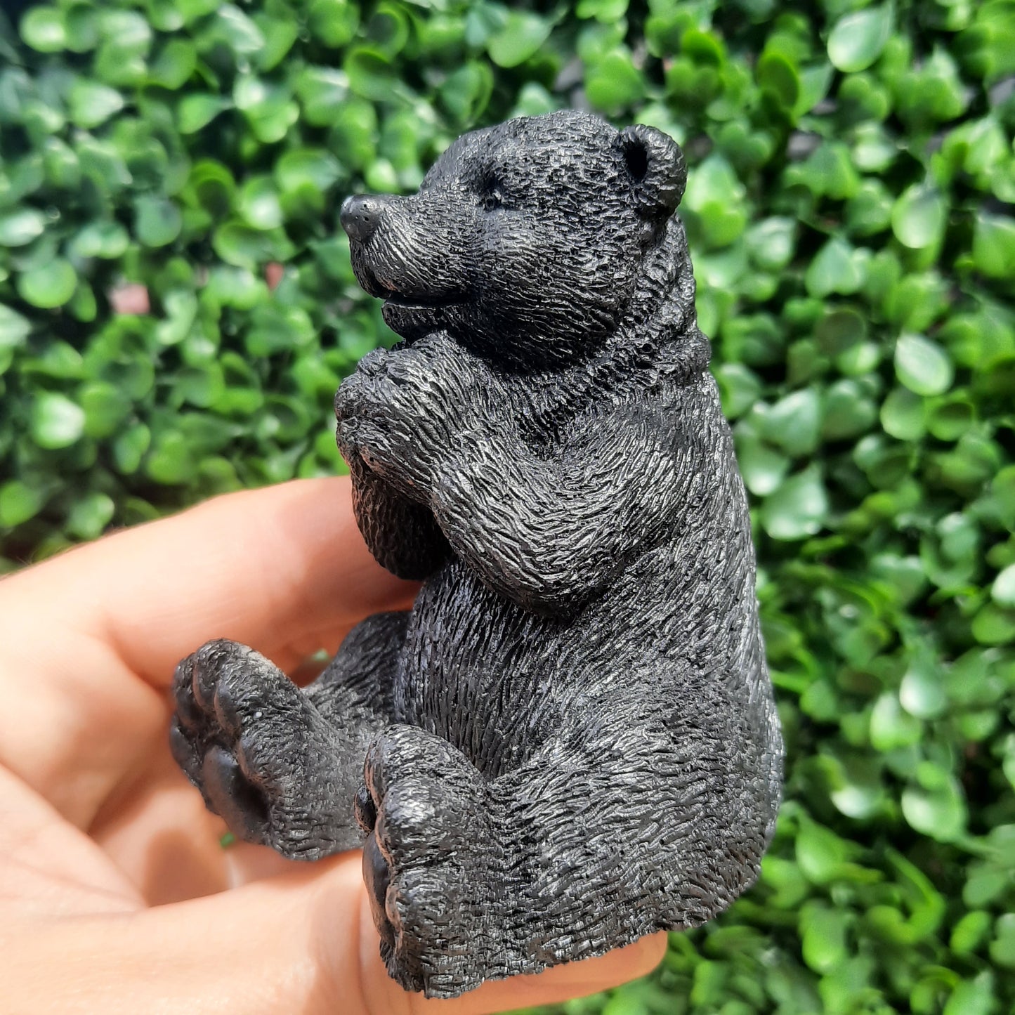 Shungite Bear