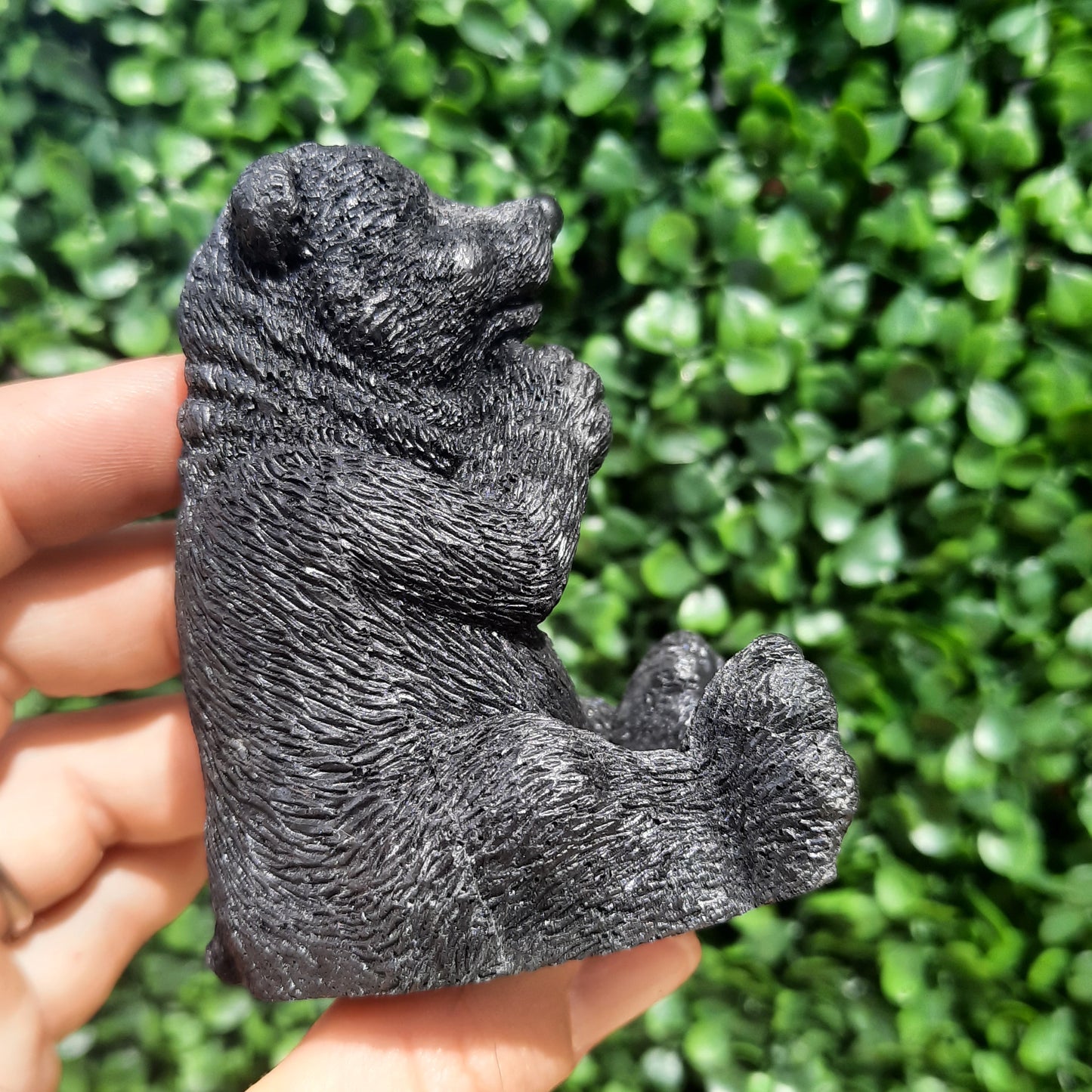 Shungite Bear