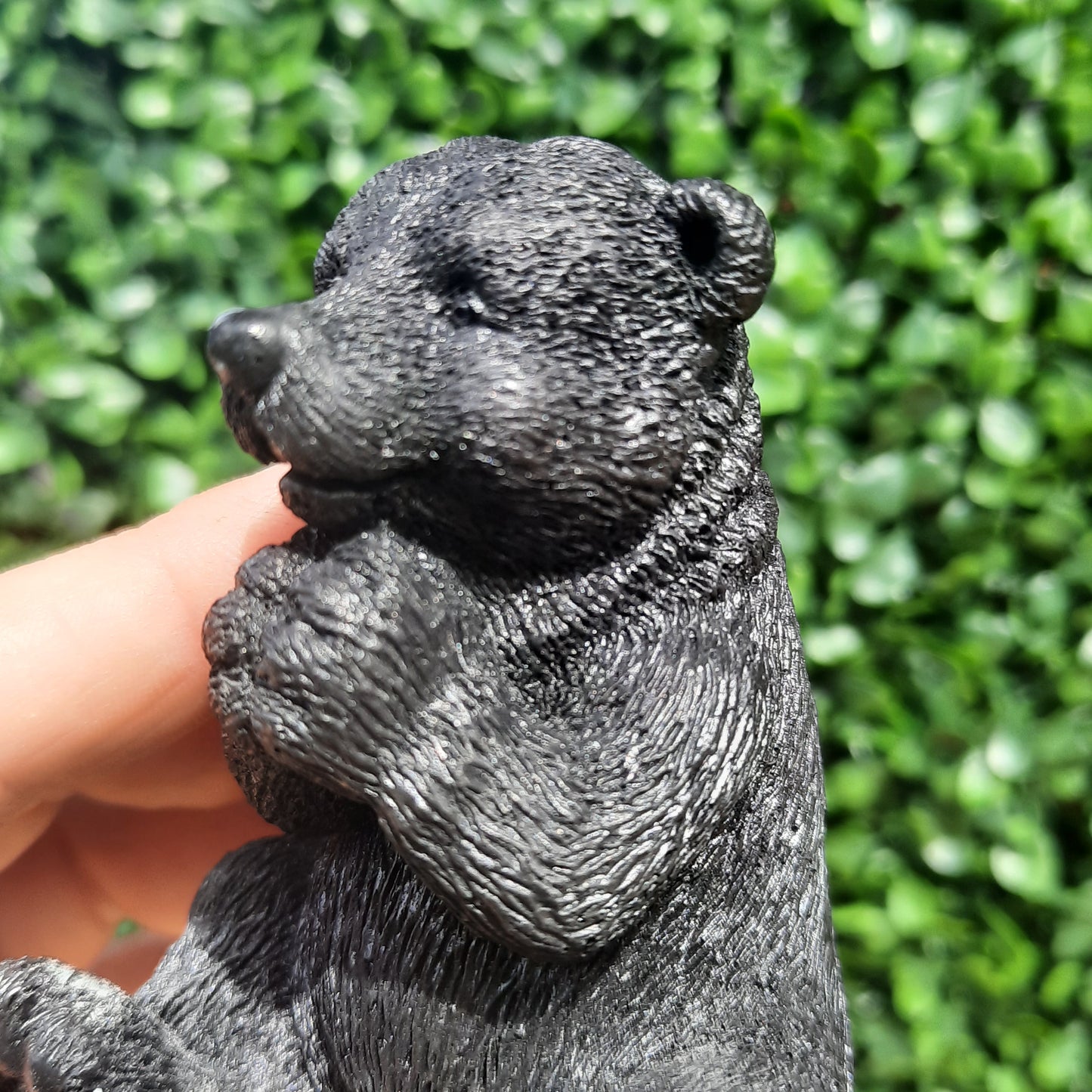 Shungite Bear