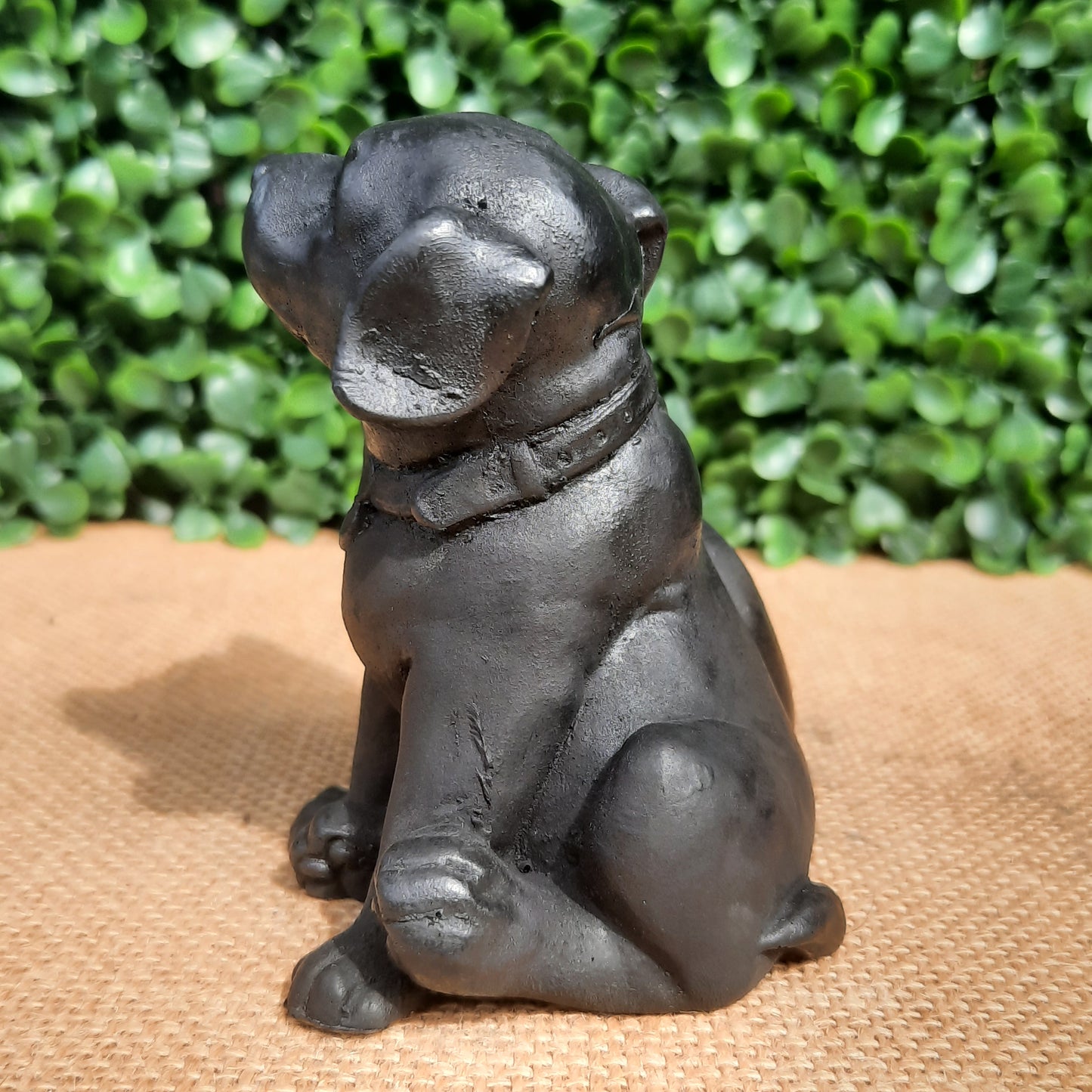 Shungite Puppy & Kitten