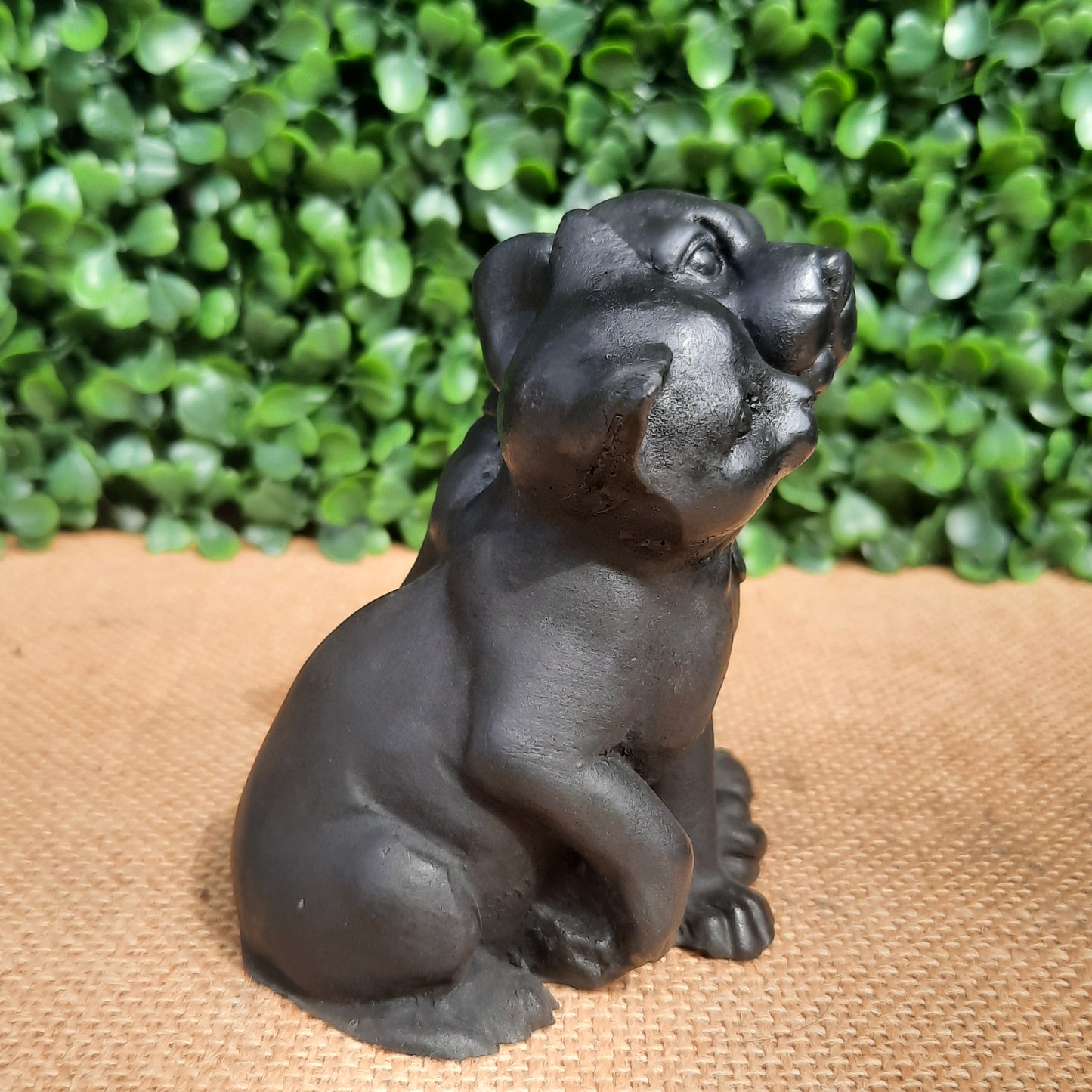 Shungite Puppy & Kitten